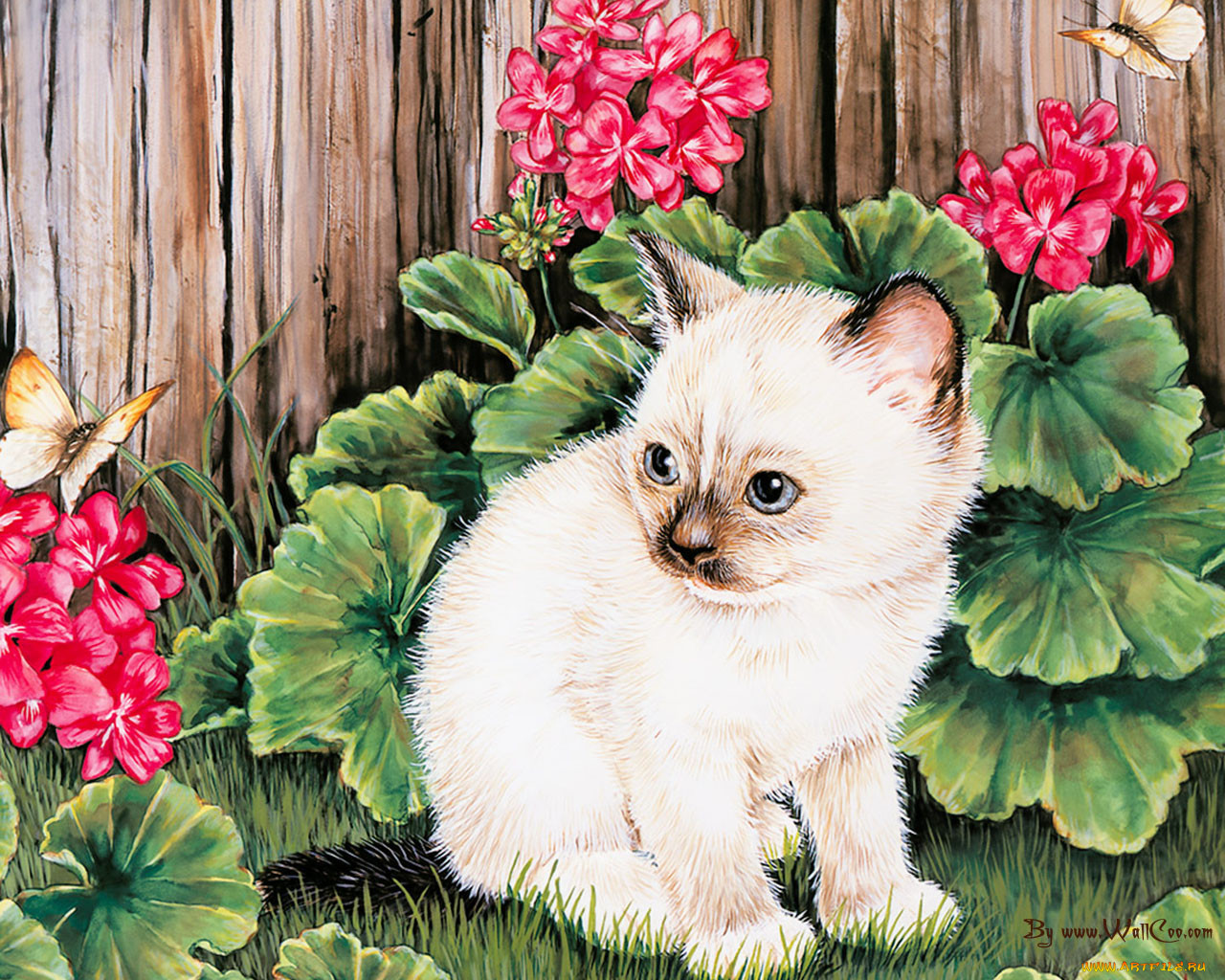 картинки кошек для детей цветные красивые